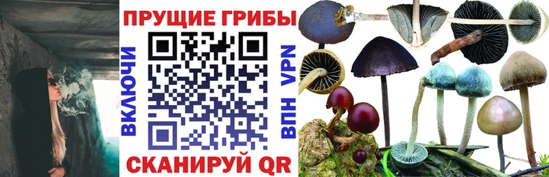 Галлюциногенные грибы прущие грибы Звенигород