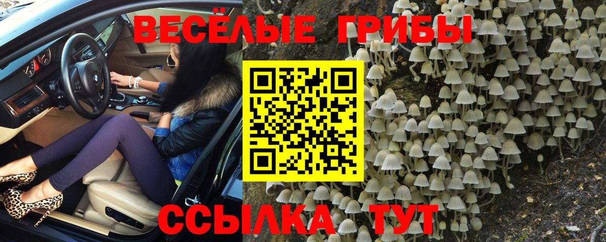Звенигород  Галлюциногенные грибы GOLDEN TEACHER  Галлюциногенные грибы MAGIC MUSHROOMS  Вход с VPN 